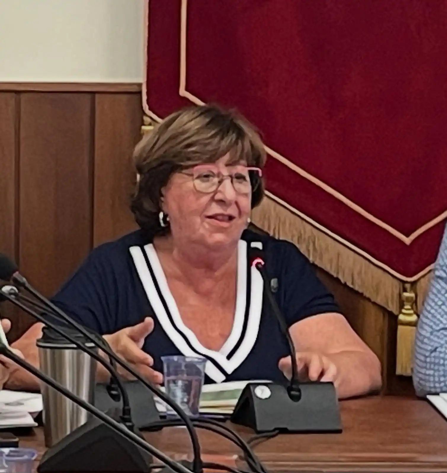 Image from Ajuntament Arenys de Mar: ℹ️ La Defensora de la Ciutadania, Teresa Verdura, va presentar en el p...