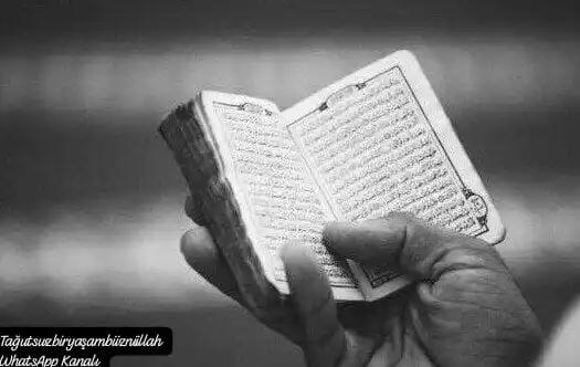 Image from Tağutsuz Bir Yaşam Biiznillah: 🍂 *İbn Kesîr (rahimehullah)* *"Kim Allah’a yönelirse, Allah ona rah...
