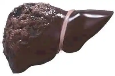 Image from كناشة مسلمة📚🌾: 💥مع أرتفاع درجات الحرارة 💥  ⭕عن النبي صل الله عليه وسلم: (( إذا شرب ...