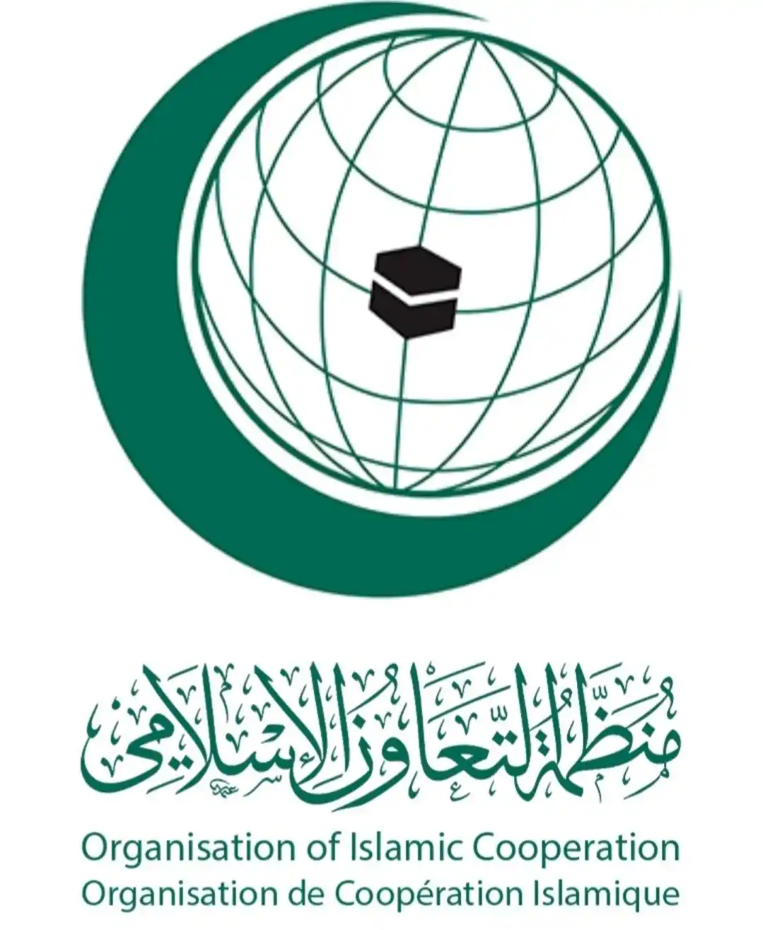 Image from أخبار منظمة التعاون الإسلامي : منظمة التعاون الإسلامي ترحب بقرار الجمعية العامة بالوقف الفوري لإطلاق ...