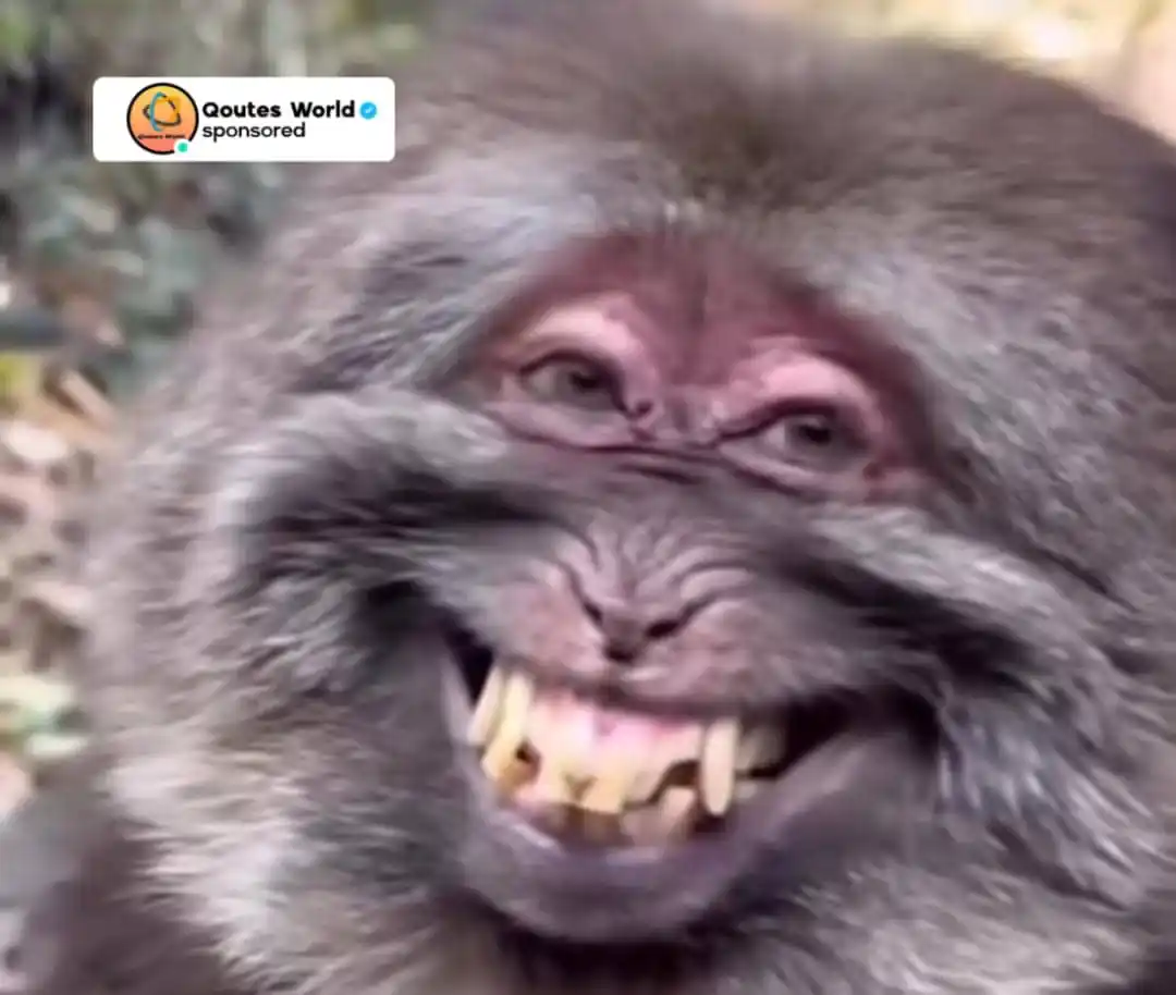 Image from QUOTERS WORLD.™: My sister ,when someone tells her She looks pretty 😁...