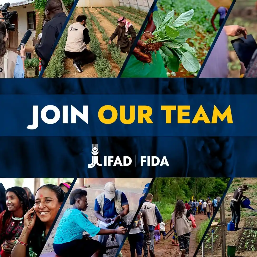 Image from Verifiable Jobs/ Opportunities With #AdetolaElegbeje: ‼️Ready to make a difference? 🌍 Join IFAD in and become a part of ou...