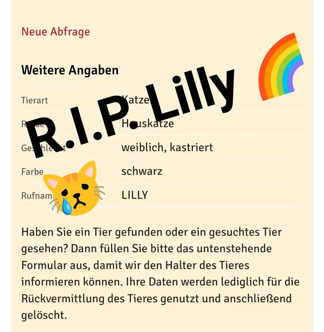 Image from Tierrettung Untermain News: Uns wurde eine verunfallte Katze in Alzenau gemeldet. Dank Kennzeichn...