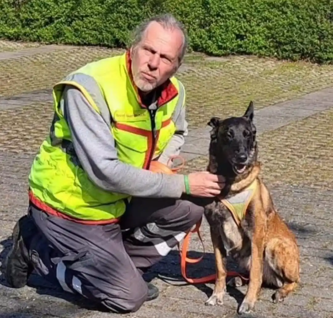 Image from Tierrettung Untermain News: Unser Team ist sehr traurig über die Nachricht, dass Pepper, die Suchü...
