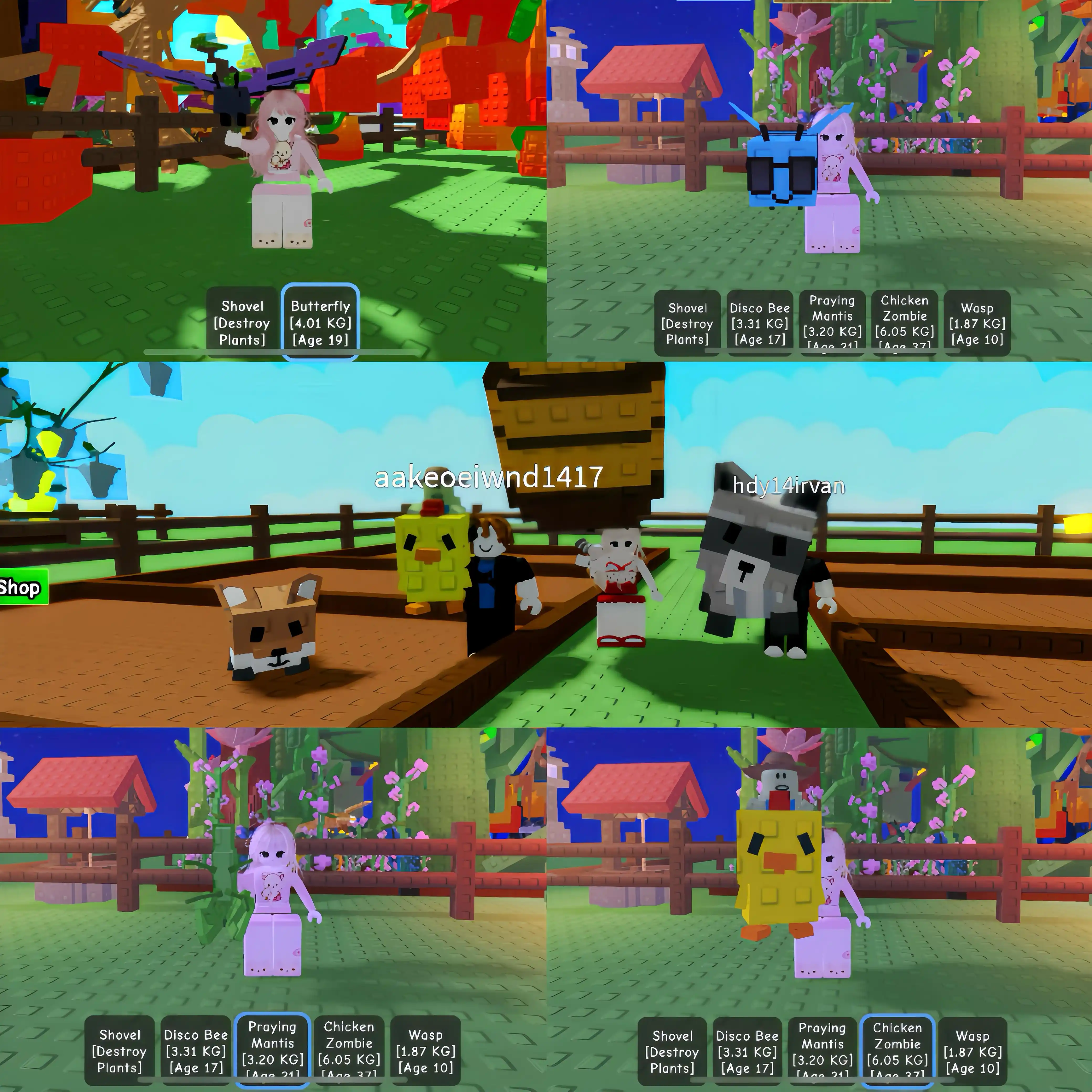 Image from CATALOG & PROMO H.D.Y STORE: *UPDATE PRICELIST PET GROW A GARDEN* disco bee : 250k butterfly : 100...