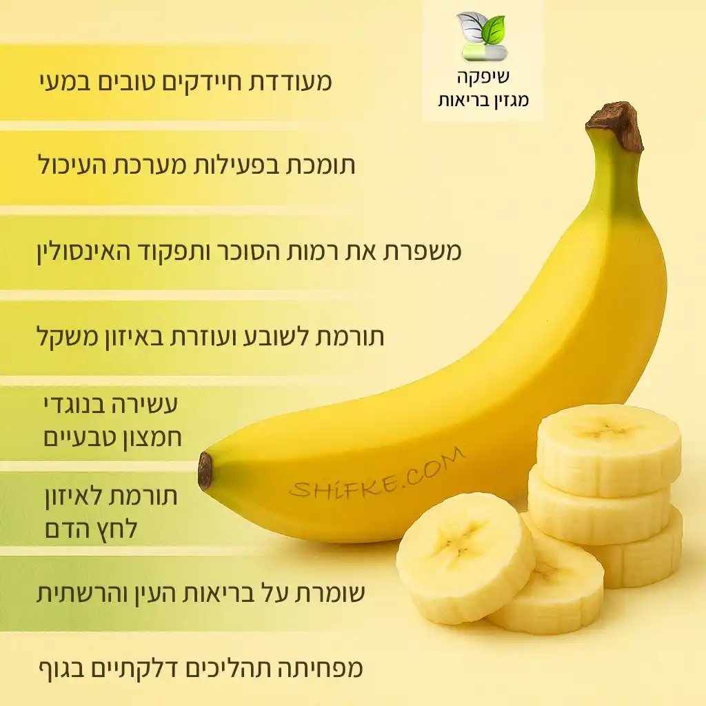שיפקה מגזין בריאות post