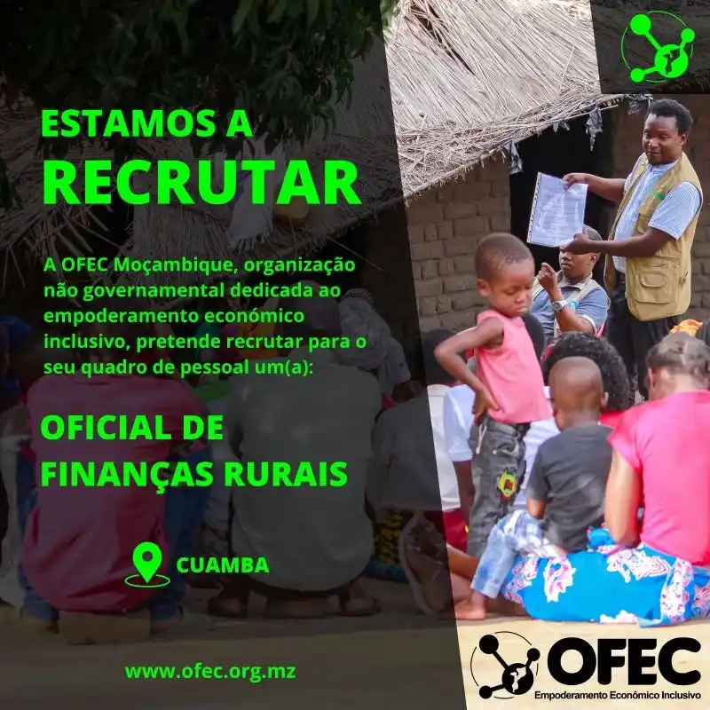 Image from News Online Moz Condutores Lda: A OFEC está à procura de um(a) profissional dinâmico(a), dedicado(a) e...