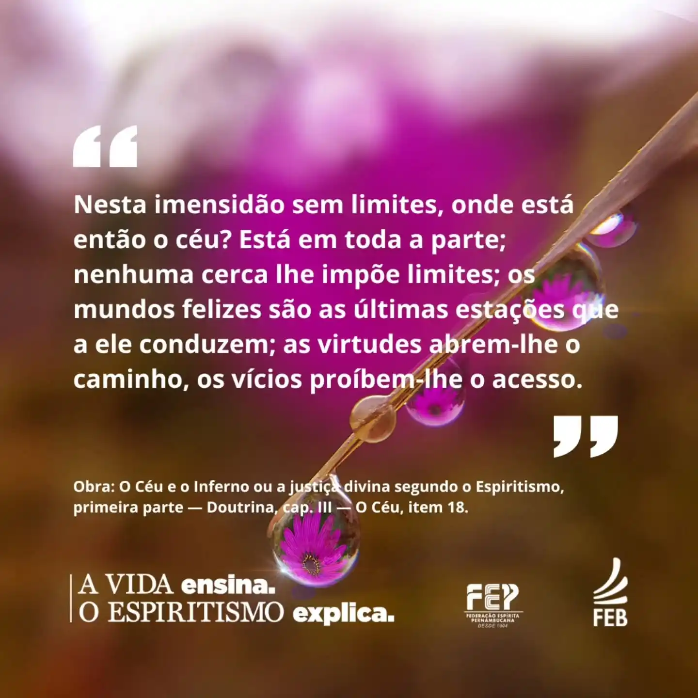 Image from Federação Espírita Pernambucana: 😃"A Vida Ensina, o Espiritismo Explica” é o tema da campanha da FEB, ...