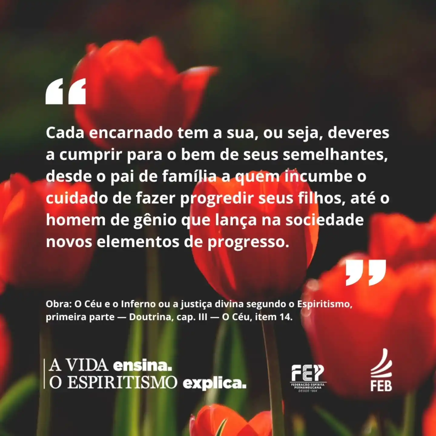 Image from Federação Espírita Pernambucana: 😃"A Vida Ensina, o Espiritismo Explica” é o tema da campanha da FEB, ...