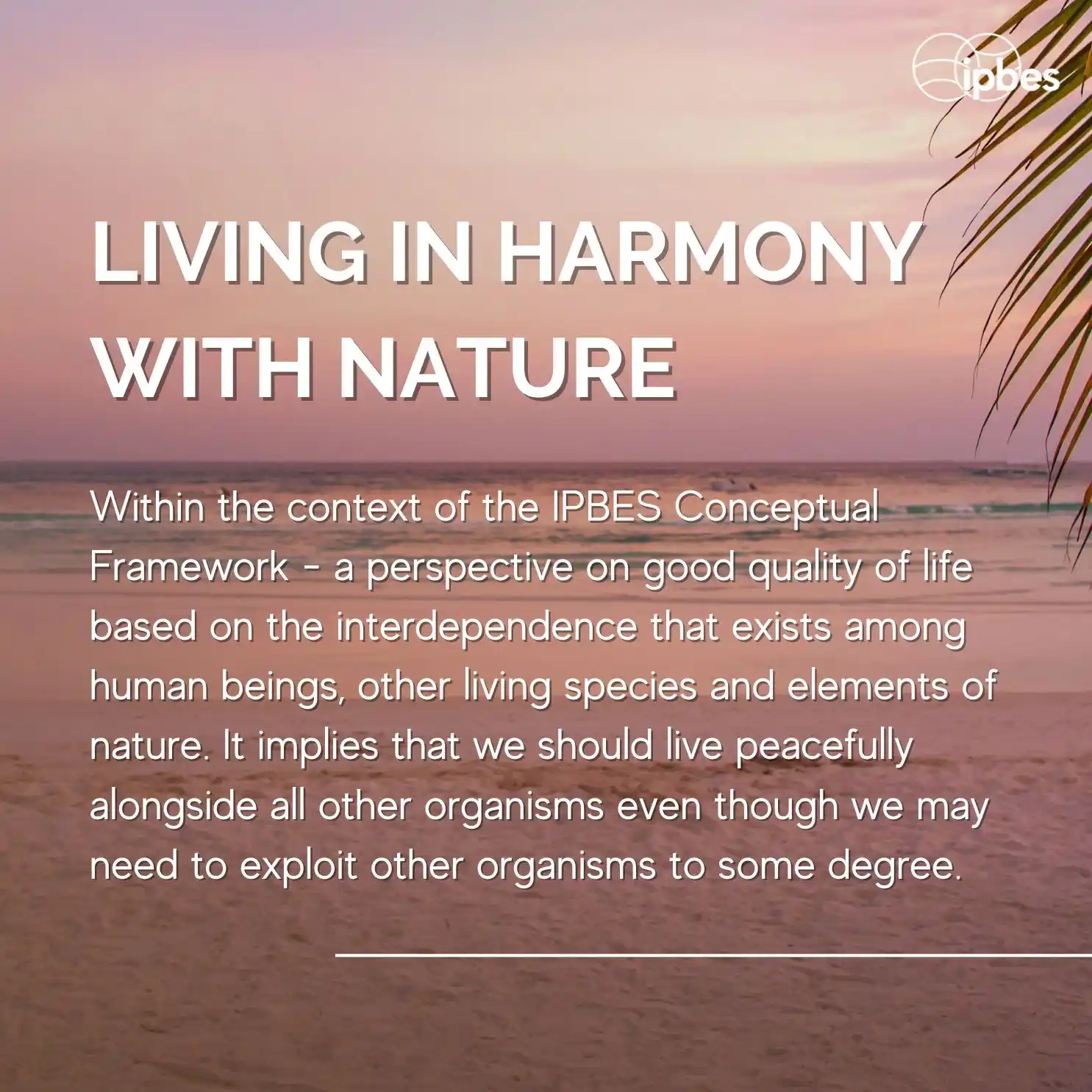 Image from IPBES: 🌍 Ahead of <a class="text-blue-500 hover:underline cursor-pointer" hr...