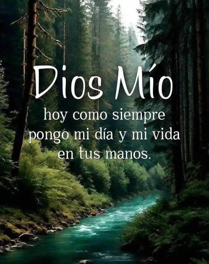 Image from "PALABRA DE DIOS" 📖: 🌈Amén 🗝️Mí confianza está en vos Señor💎💡...