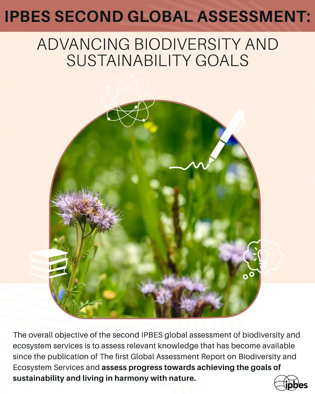 Image from IPBES: 🌿 <a class="text-blue-500 hover:underline cursor-pointer" href="/hash...