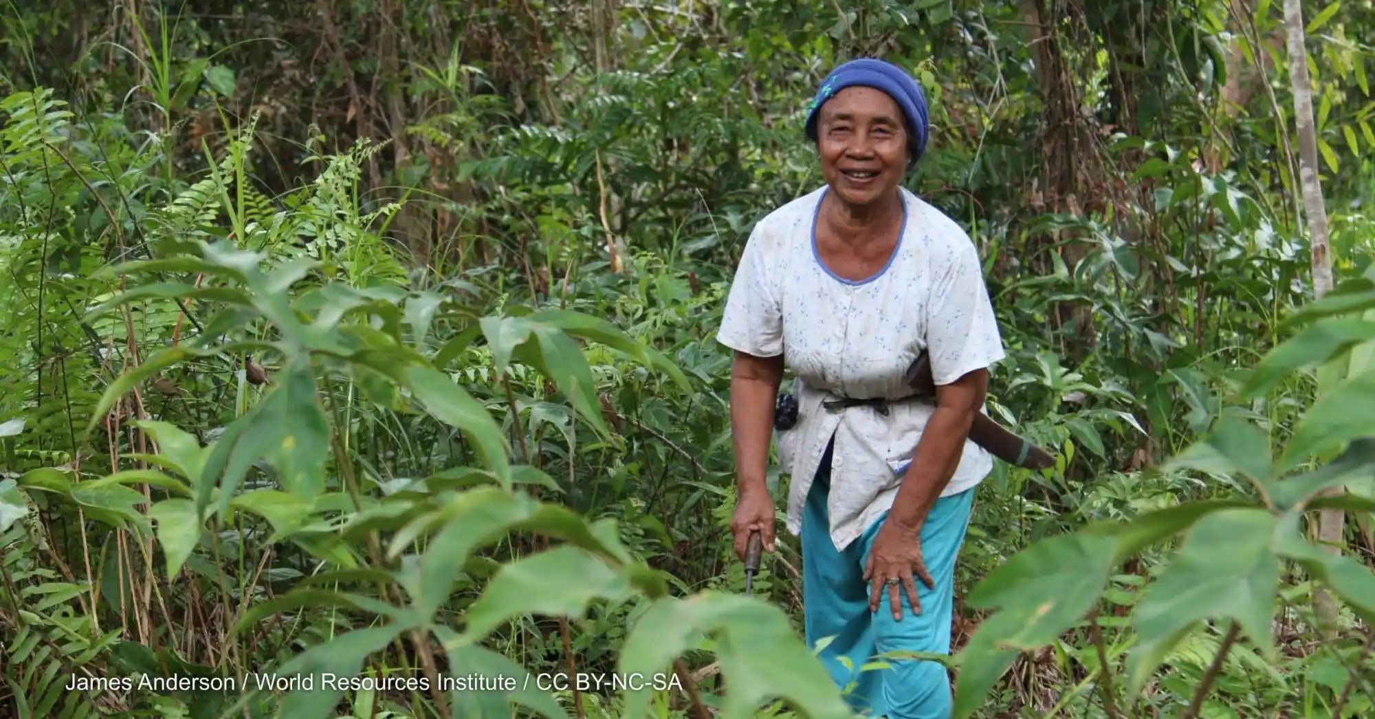 Image from Devex: Check out some of our top stories published over the past few days for...