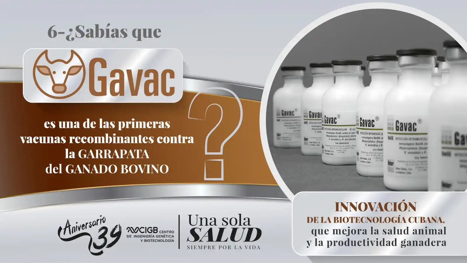 Image from Um só povo, uma só nação. CubAngola 🇨🇺🇦🇴: <a class="text-blue-500 hover:underline cursor-pointer" href="/hashtag...