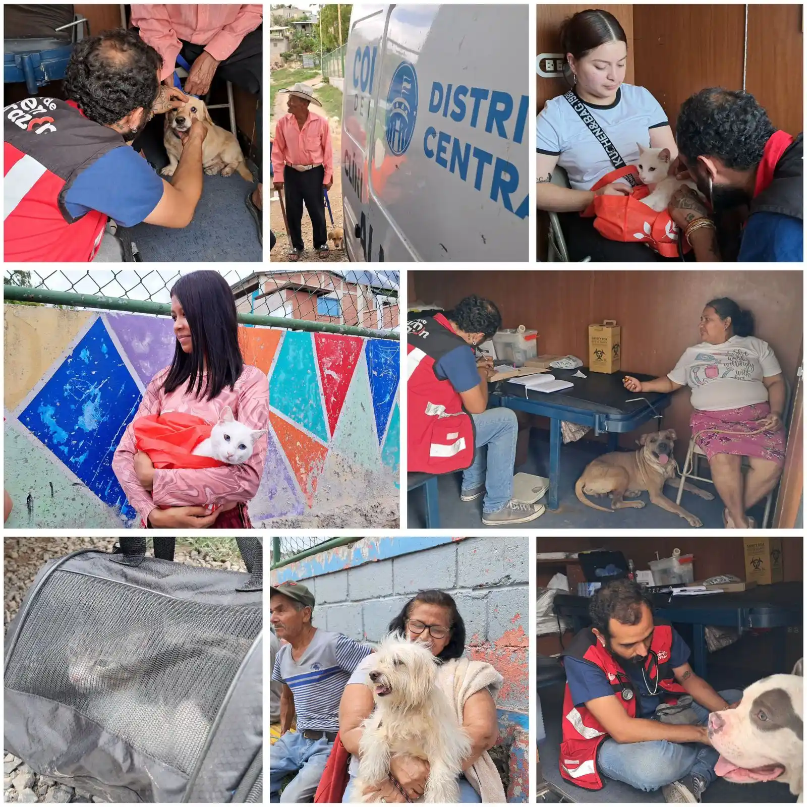Image from La Alcaldía al Día : Con la veterinaria móvil ahora a tus peluditos los atendemos en su pro...