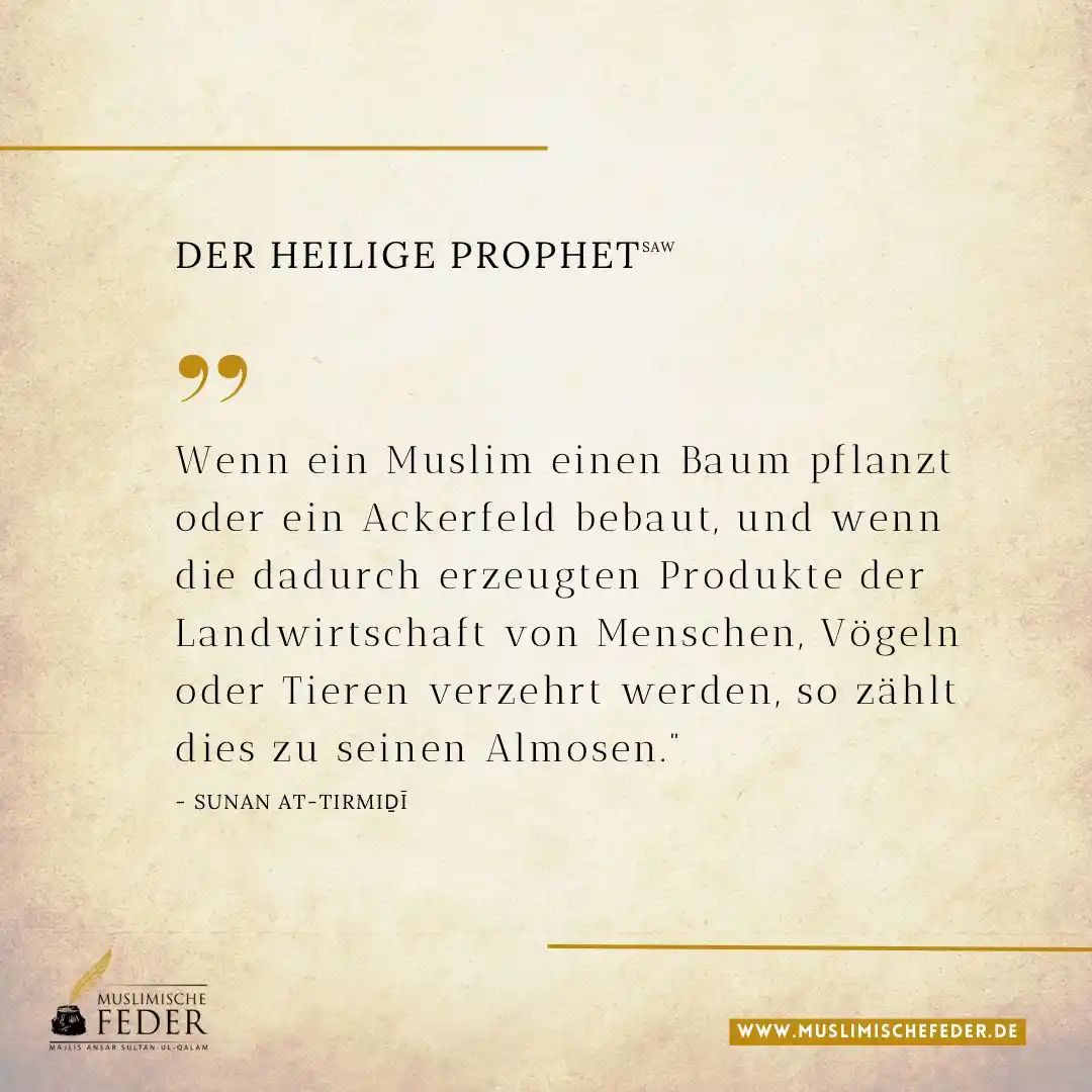 Muslimische Feder 🪶 post