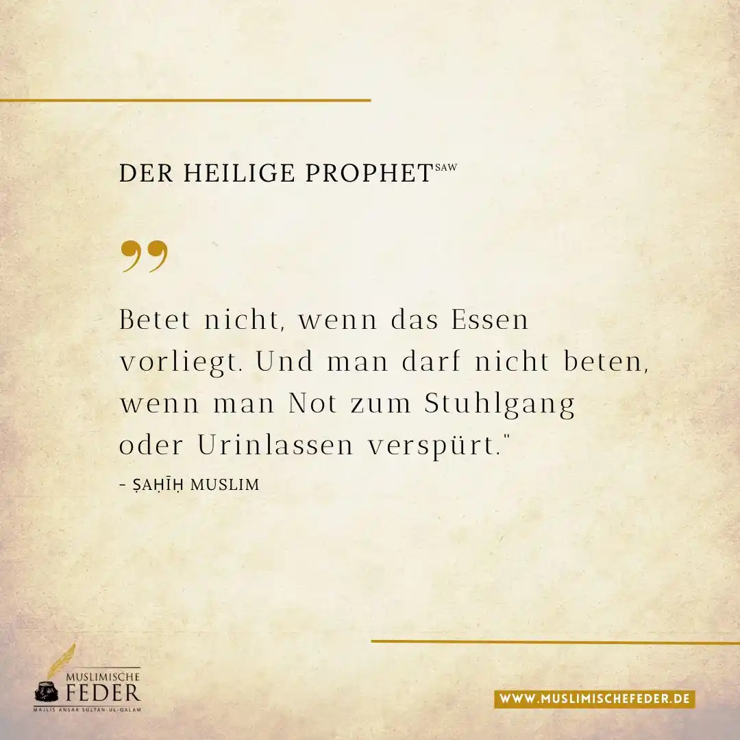 Muslimische Feder 🪶 post