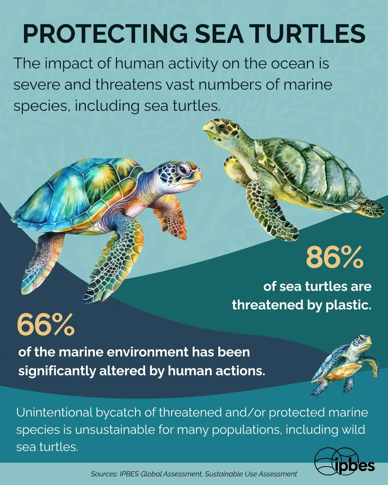 Image from IPBES: Did you know? Artificial lighting from coastal development confuses se...