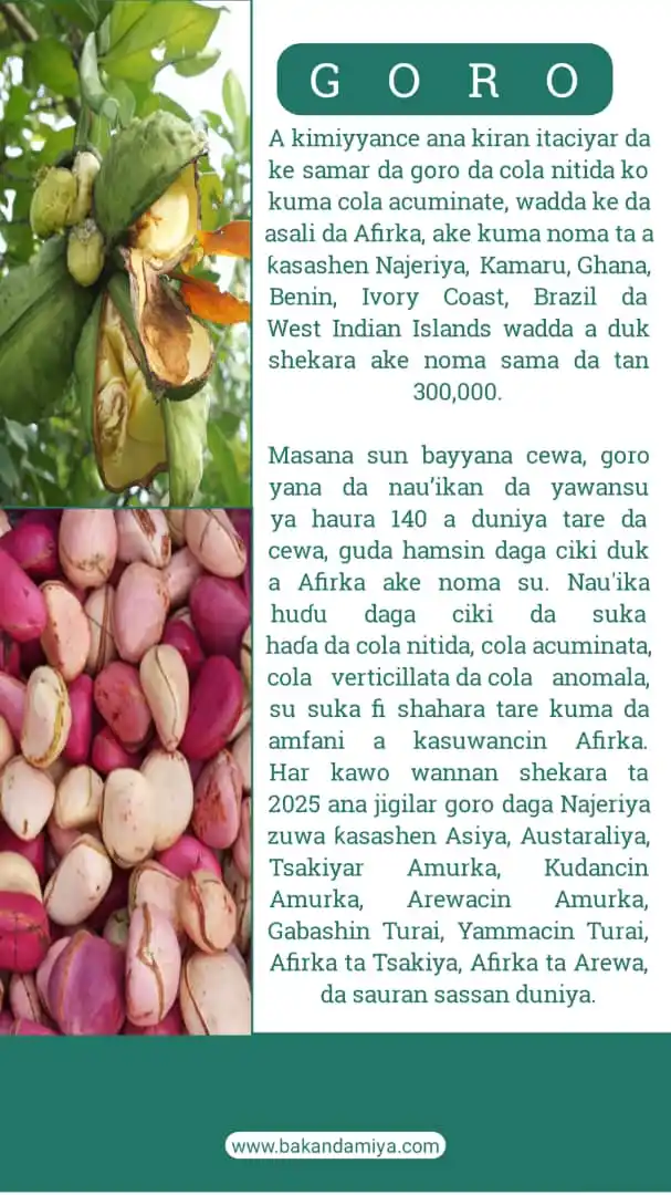 Bakandamiya Encyclopaedia post