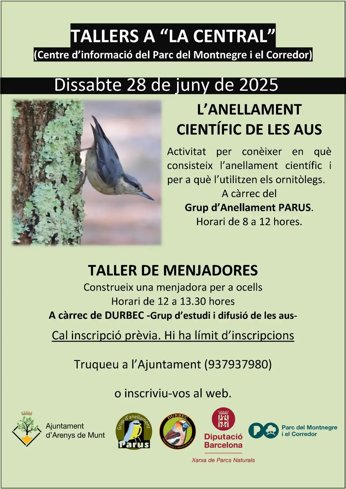 Image from Ajuntament d'Arenys de Munt: El dissabte 28 de juny, a la Central (parc de Can Jalpí) d'<a class="t...