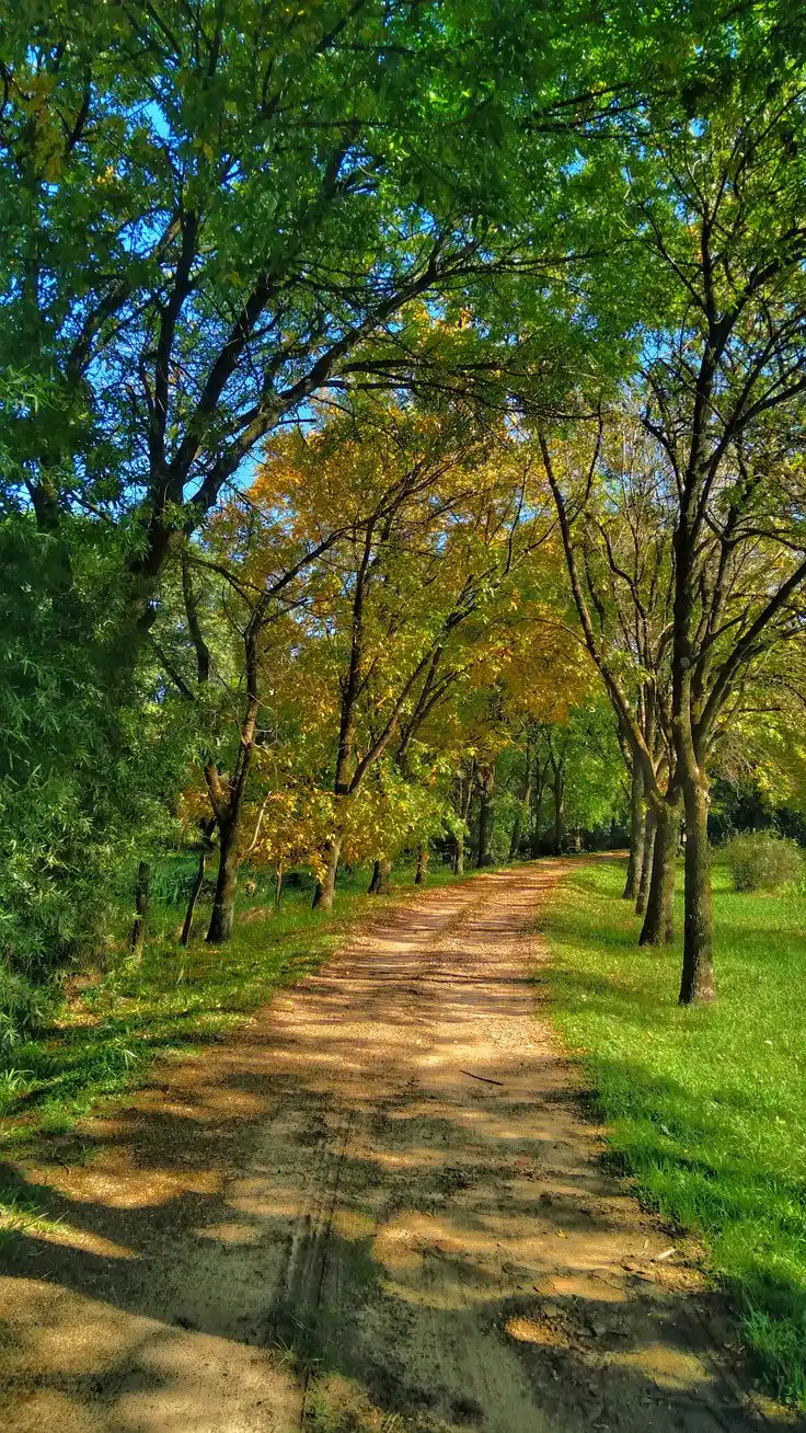 Evangelio del Día post