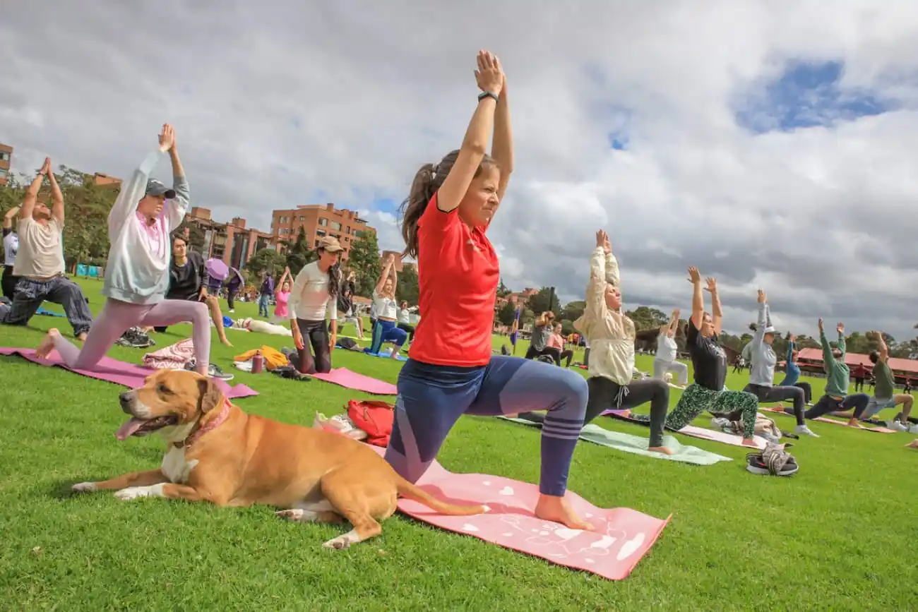 Cultura Bogotá post