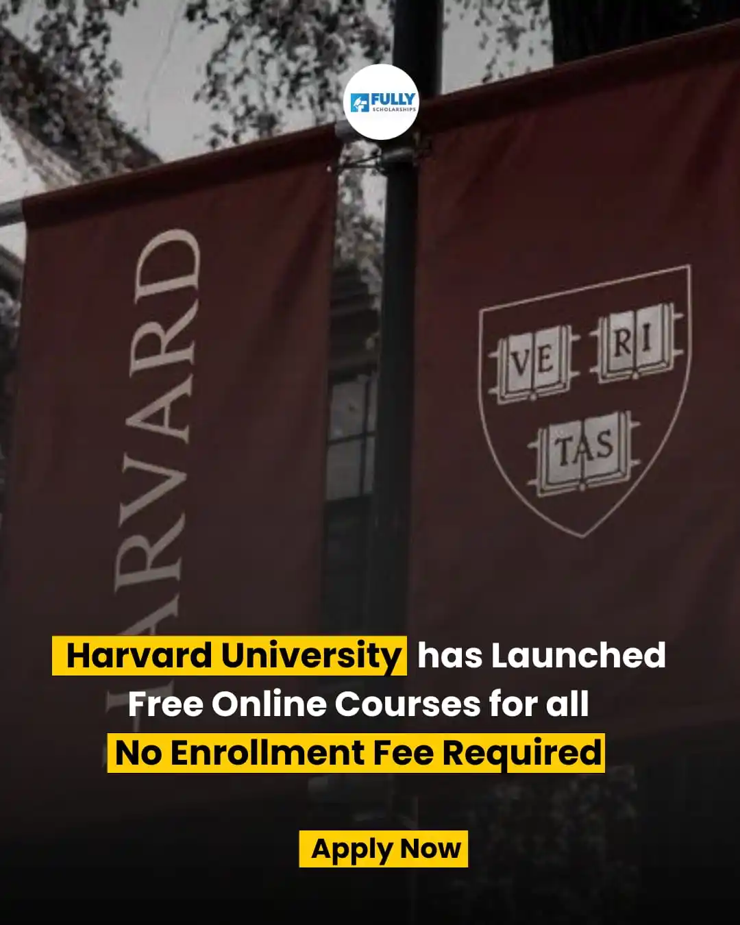 Image from Fully Scholarships: ๐๐ฎ๐ฟ๐๐ฎ๐ฟ๐ฑ ๐จ๐ป๐ถ๐๐ฒ๐ฟ๐๐ถ๐๐ ๐๐ฟ๐ฒ๐ฒ ๐ข๐ป๐น๐ถ๐ป๐ฒ ๐๐ผ๐๐ฟ๐๐ฒ...