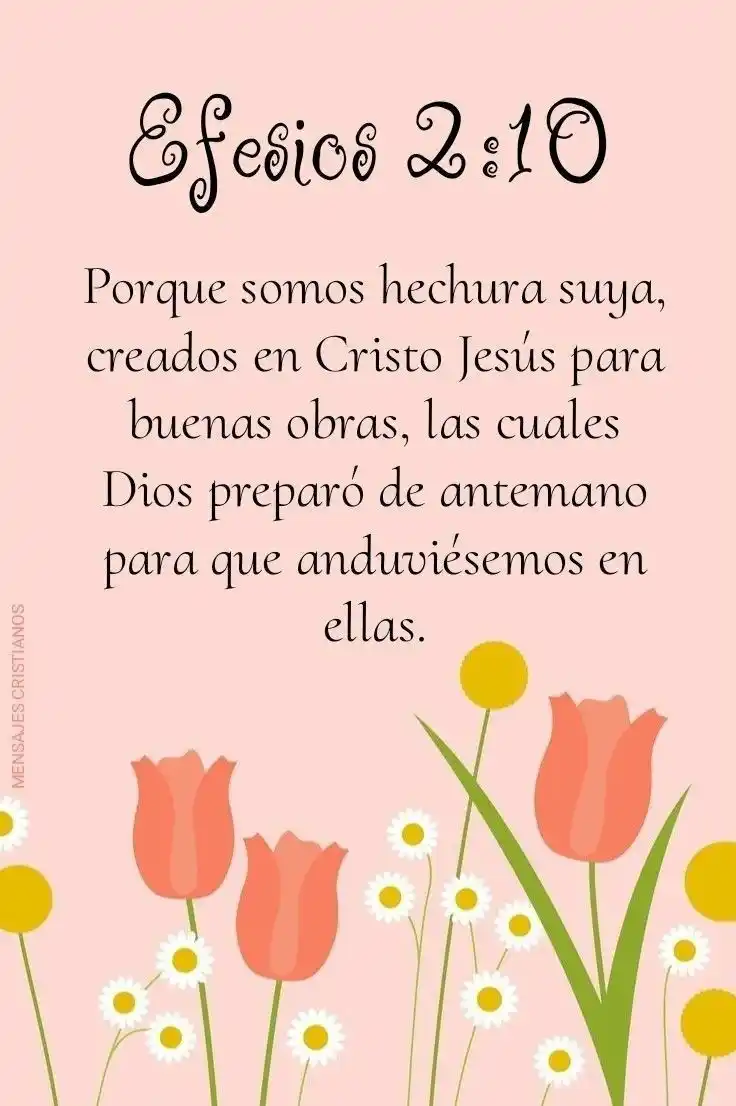 Image from "PALABRA DE DIOS" 📖: HECHURA SUYA Porque somos hechura suya, creados en Cristo Jesús para ...