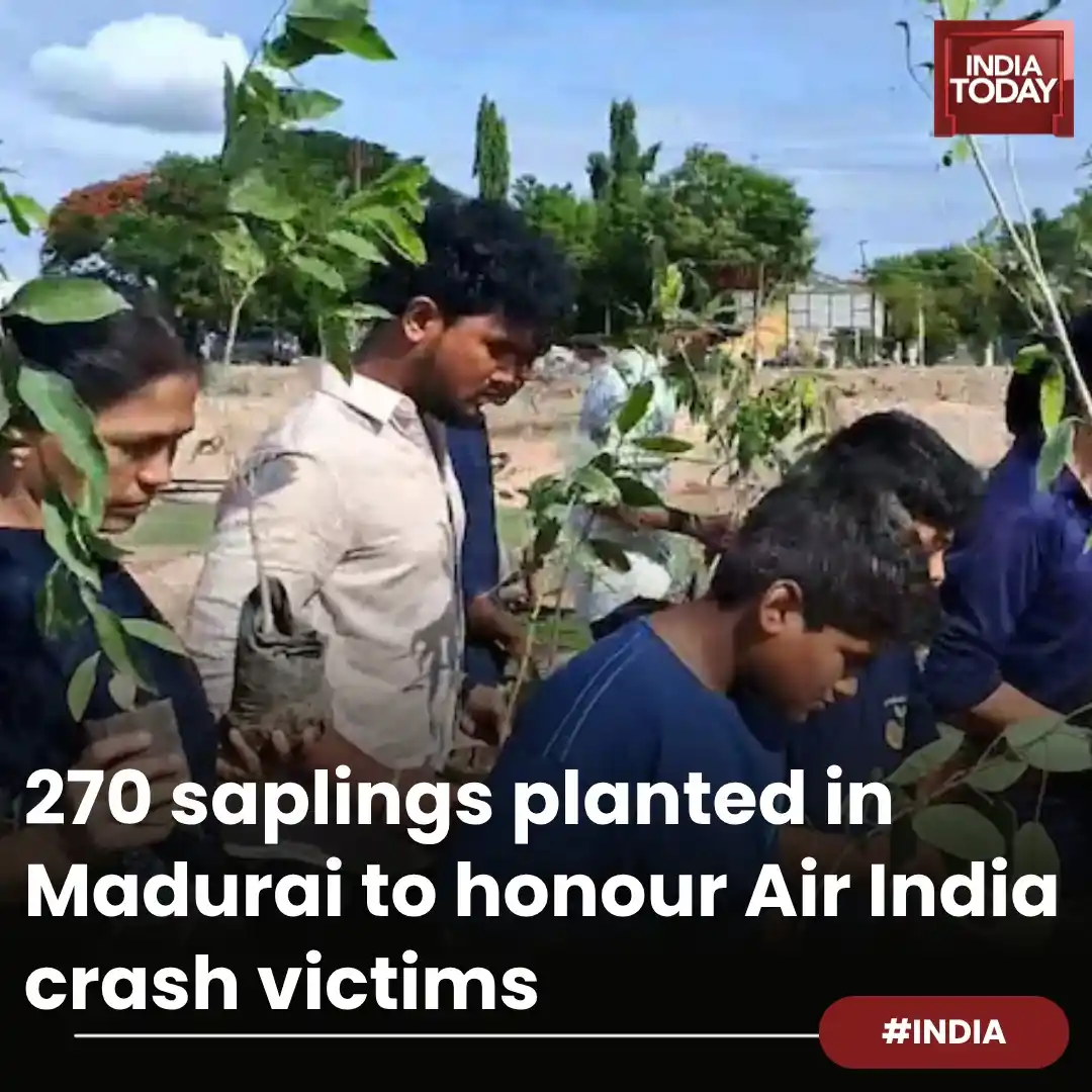 Image from India Today: *In Short:* ➡️ Ahmedabad crash killed 241 onboard and 29 on ground ...