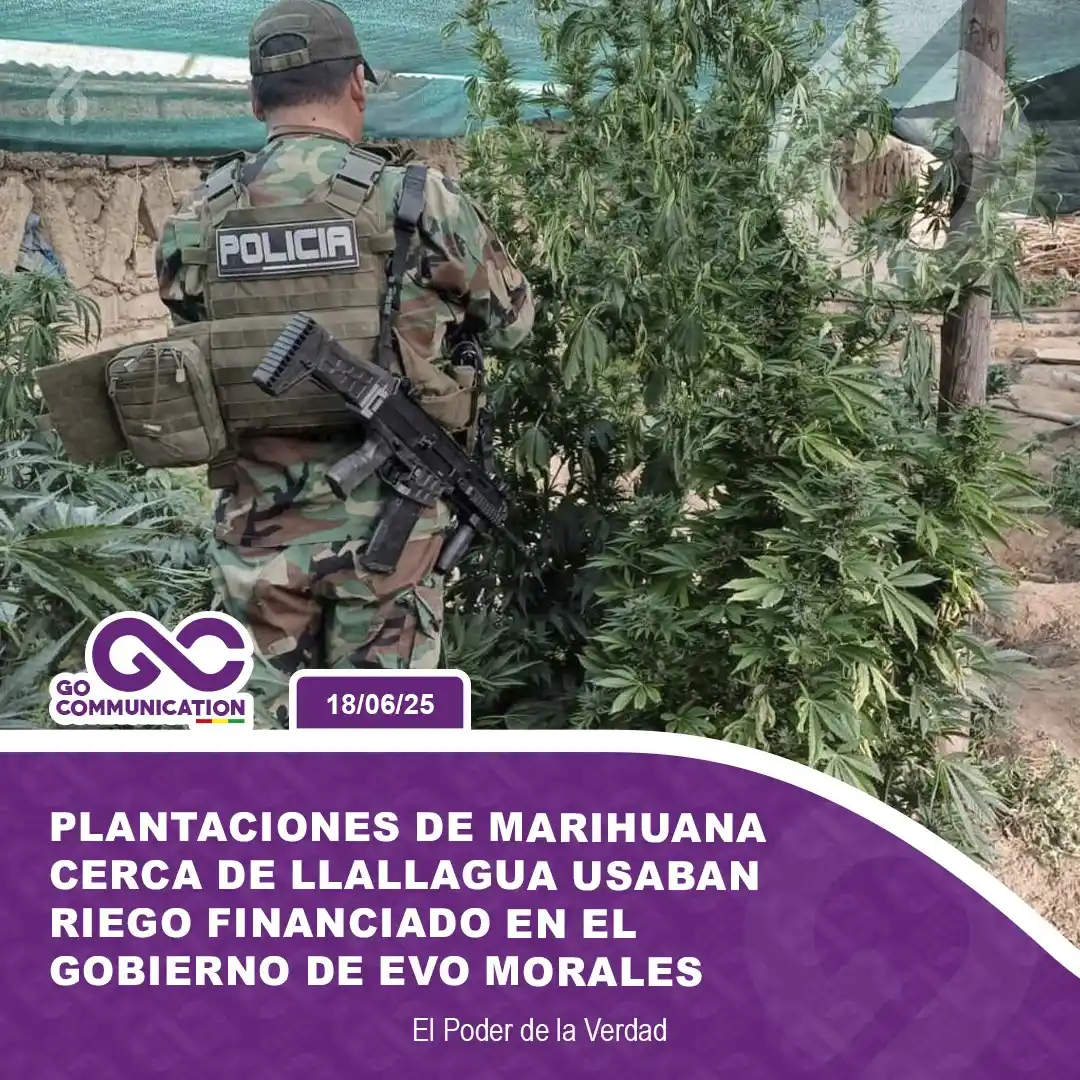 Image from Go Communication Bolivia: *<a class="text-blue-500 hover:underline cursor-pointer" href="/hashta...