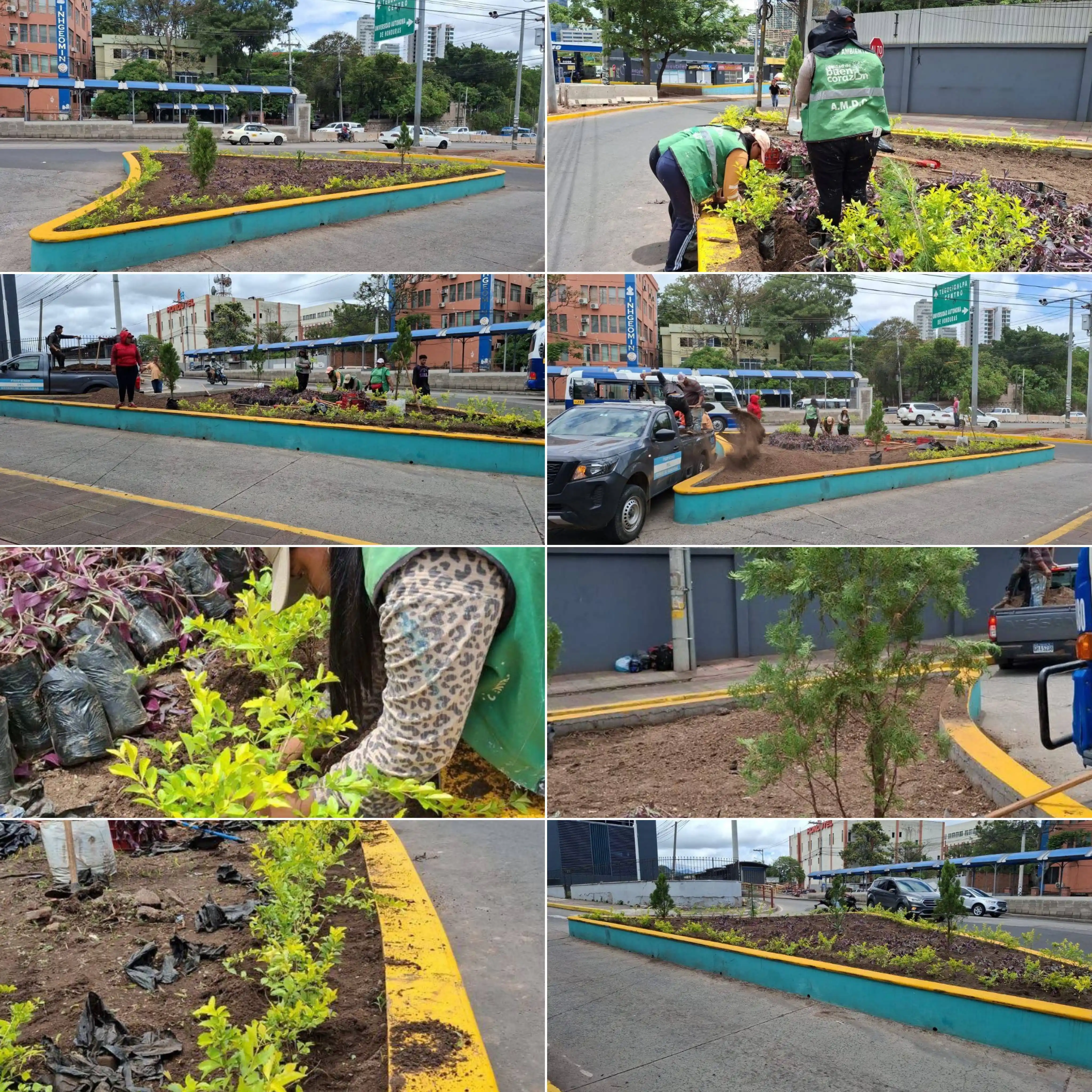 Image from La Alcaldía al Día : Lo que antes era un espacio de concreto, ahora es un pulmón verde que ...