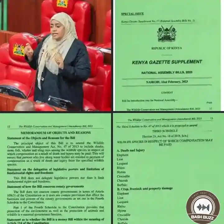 Image from BashBuzz: π‘ππ§ππ’π‘ππ ππ¦π¦ππ πππ¬ π¨π£πππ§π| The National Assembly...