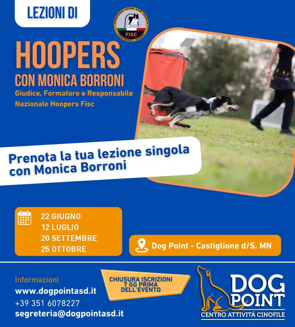 Image from Dog Point Centro Attività Cinofile : 🎯🐶 NOVITÀ al Dog POINT ASD: lezioni singole di Hoopers con Monica Bo...