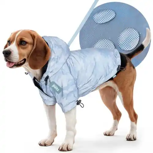 Image from Ofertones México : ¡OFERTA IMPERDIBLE! CHAMARRA IMPERMEABLE REFLECTANTE PARA PERRO 🐶✨ Am...