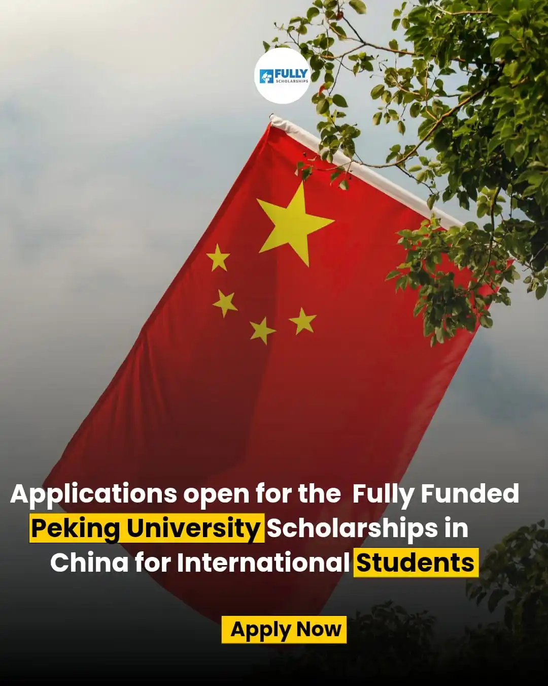 Image from Fully Scholarships: ๐ฃ๐ฒ๐ธ๐ถ๐ป๐ด ๐จ๐ป๐ถ๐๐ฒ๐ฟ๐๐ถ๐๐ ๐ฆ๐ฐ๐ต๐ผ๐น๐ฎ๐ฟ๐๐ต๐ถ๐ฝ๐ ๐ฎ๐ฌ๐ฎ๐ฑ ๐ถ...