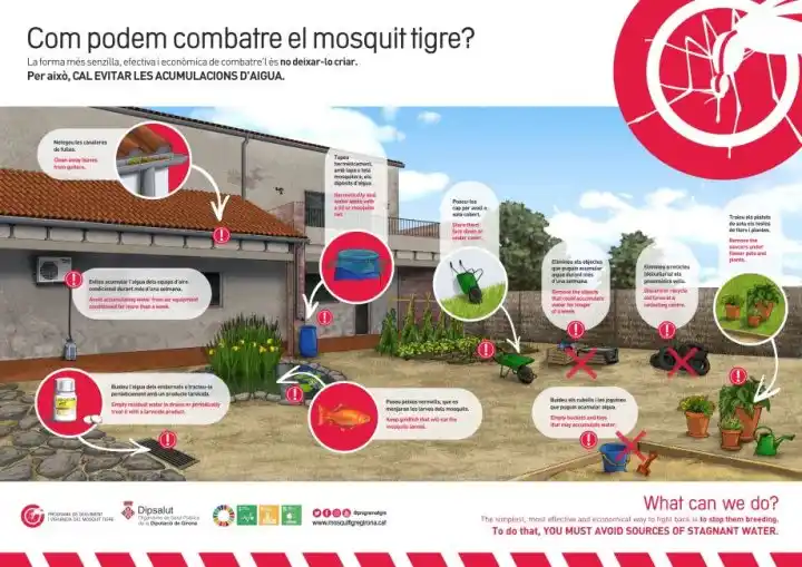Image from Riells i Viabrea: ⚠️ Pluja i calor? El còctel perfecte per al *mosquit tigre!* 🦟 Aques...