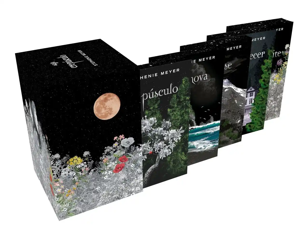 Image from Sem Spoiler - Promoções de livros, sorteios e anúncios exclusivos! 📖✨: ⏰ *Pré-venda* 📚 *Box Crepúsculo – Edição comemorativa de 20 anos* ht...