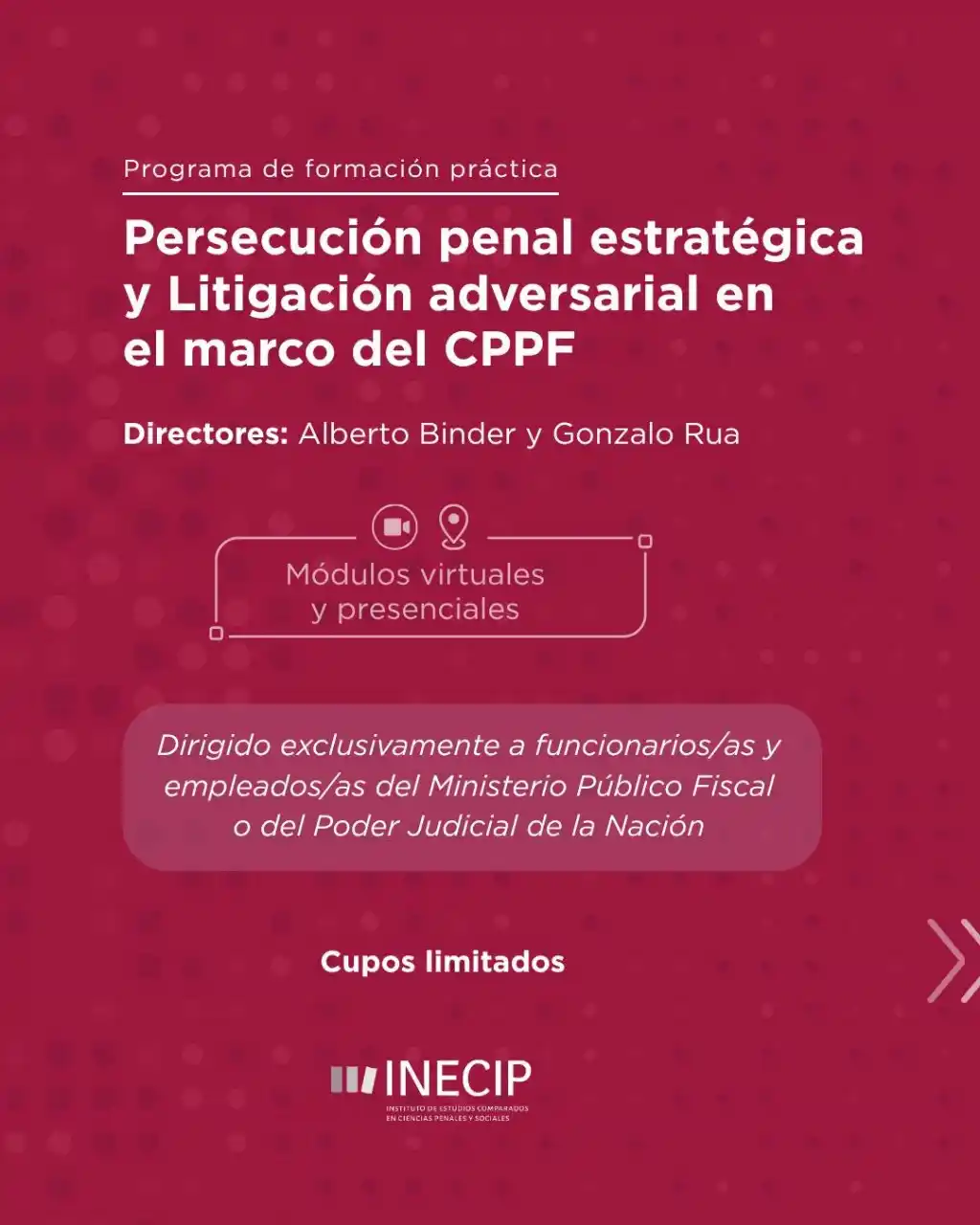 INECIP post
