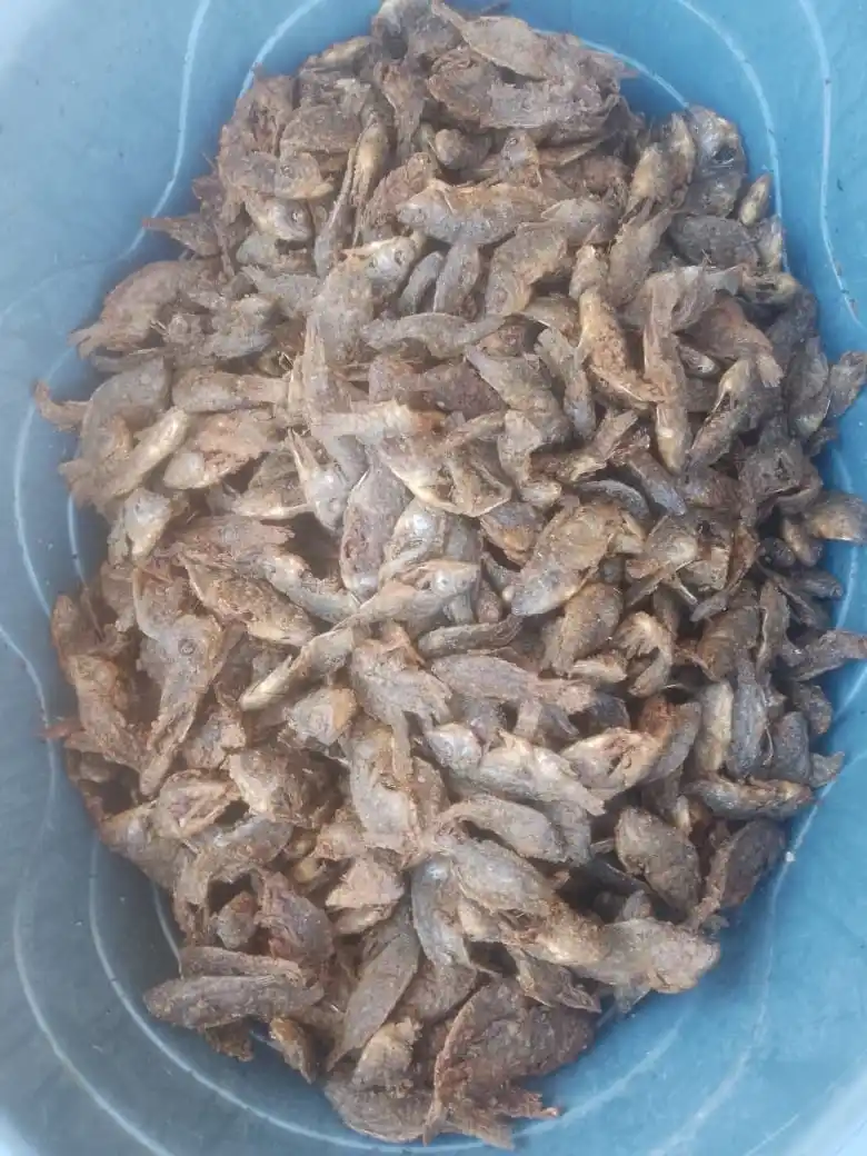 Image from Royalty Spices Food Hyper: **Roasted Fish $38/bucket* *YOU BOOK FIRST* *Izvi ndozvimwe zvamunga...
