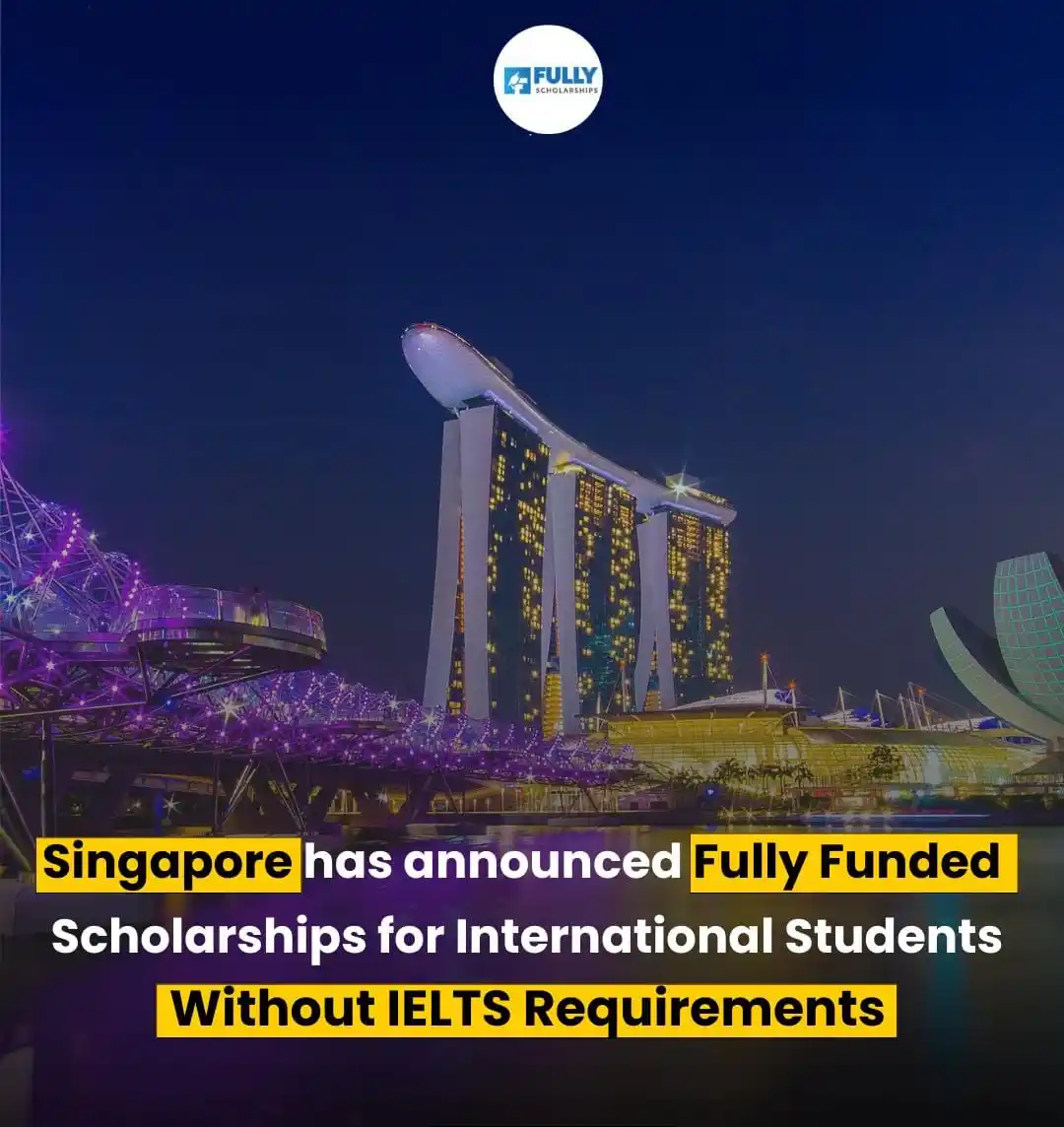 Image from Fully Scholarships: ๐ ๐ฆ๐ถ๐ป๐ด๐ฎ๐ฝ๐ผ๐ฟ๐ฒ ๐๐ป๐๐ฒ๐ฟ๐ป๐ฎ๐๐ถ๐ผ๐ป๐ฎ๐น ๐๐ฟ๐ฎ๐ฑ๐๐ฎ๐๐ฒ ๐๐...