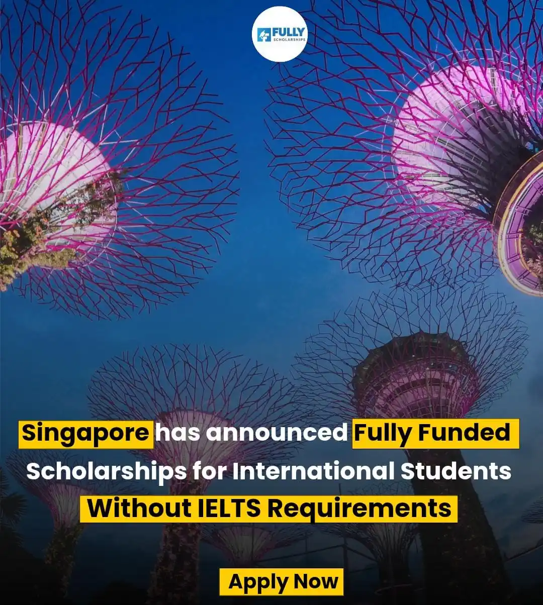Image from Fully Scholarships: ๐ ๐ฆ๐ถ๐ป๐ด๐ฎ๐ฝ๐ผ๐ฟ๐ฒ ๐๐ป๐๐ฒ๐ฟ๐ป๐ฎ๐๐ถ๐ผ๐ป๐ฎ๐น ๐๐ฟ๐ฎ๐ฑ๐๐ฎ๐๐ฒ ๐๐...