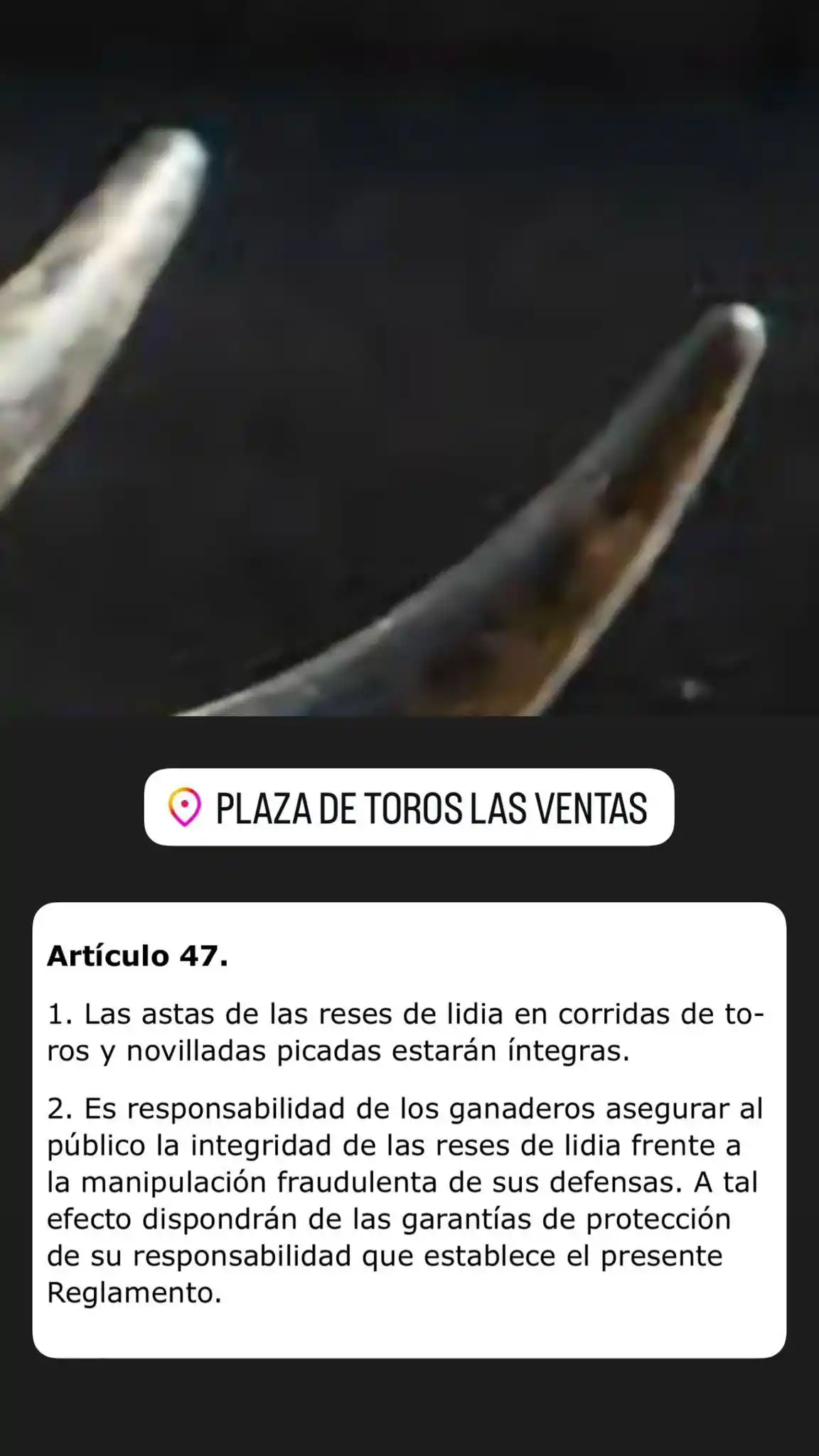 🟣🟡Chenel y Oro🟡🟣 post