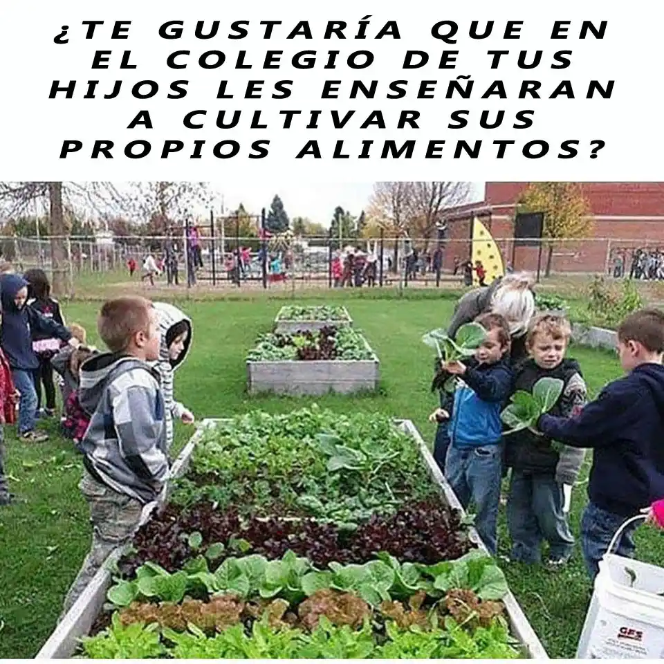 Image from EcoInventos: ¿Te gustaría que en el colegio de tus hijos les enseñaran a cultivar s...