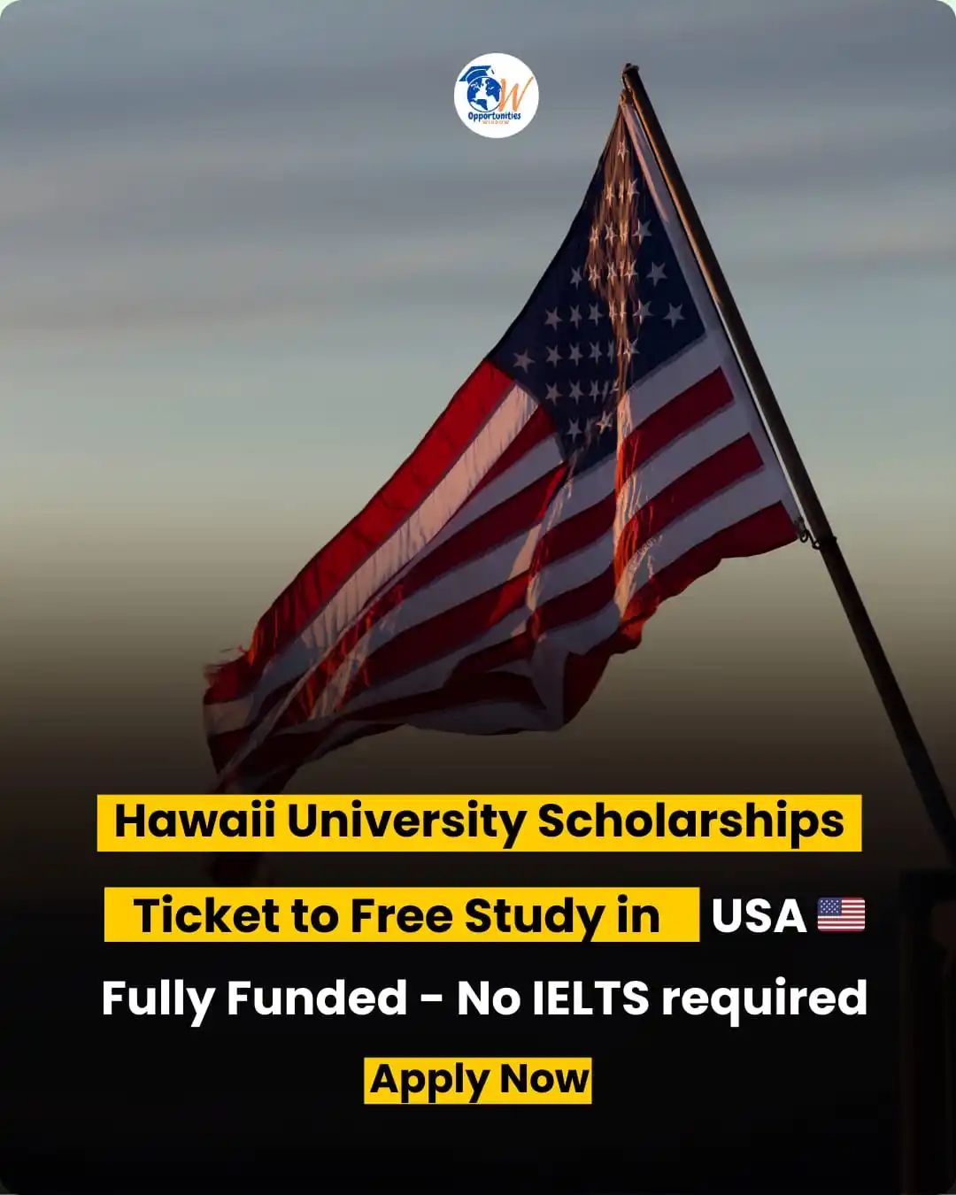 Image from Fully Scholarships: ๐จ๐ป๐ถ๐๐ฒ๐ฟ๐๐ถ๐๐ ๐ผ๐ณ ๐๐ฎ๐๐ฎ๐ถ๐ถ ๐ฆ๐ฐ๐ต๐ผ๐น๐ฎ๐ฟ๐๐ต๐ถ๐ฝ๐ ๐ฎ๐ฌ๐ฎ...