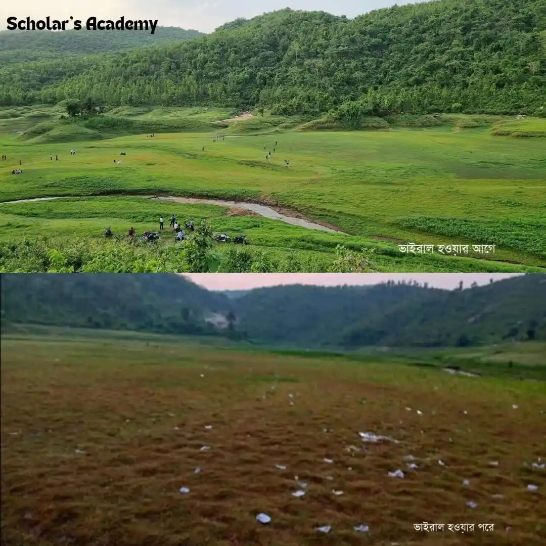 Scholar's post
