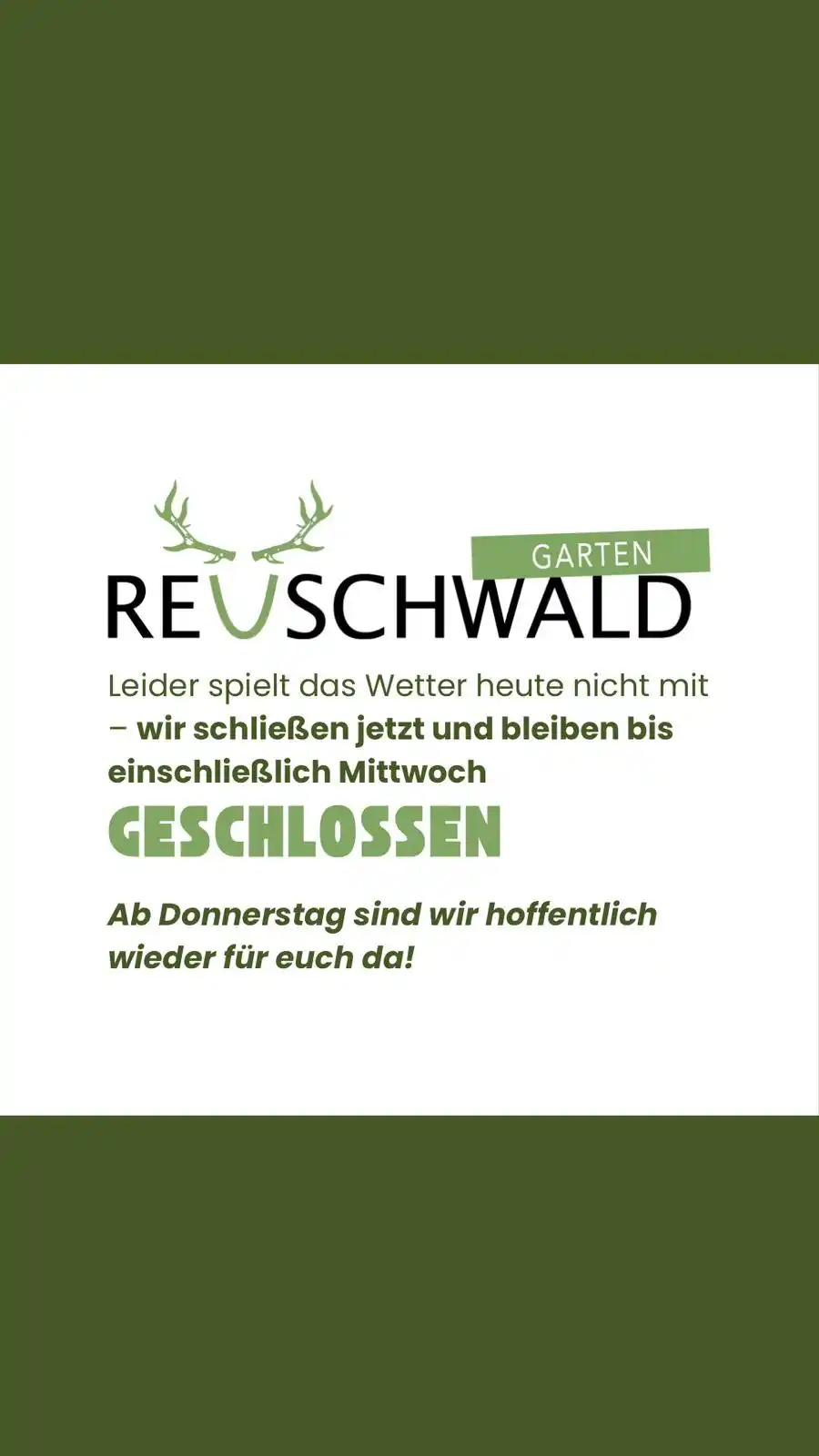 REUSCHWALD 🦌🌲| Nabern post