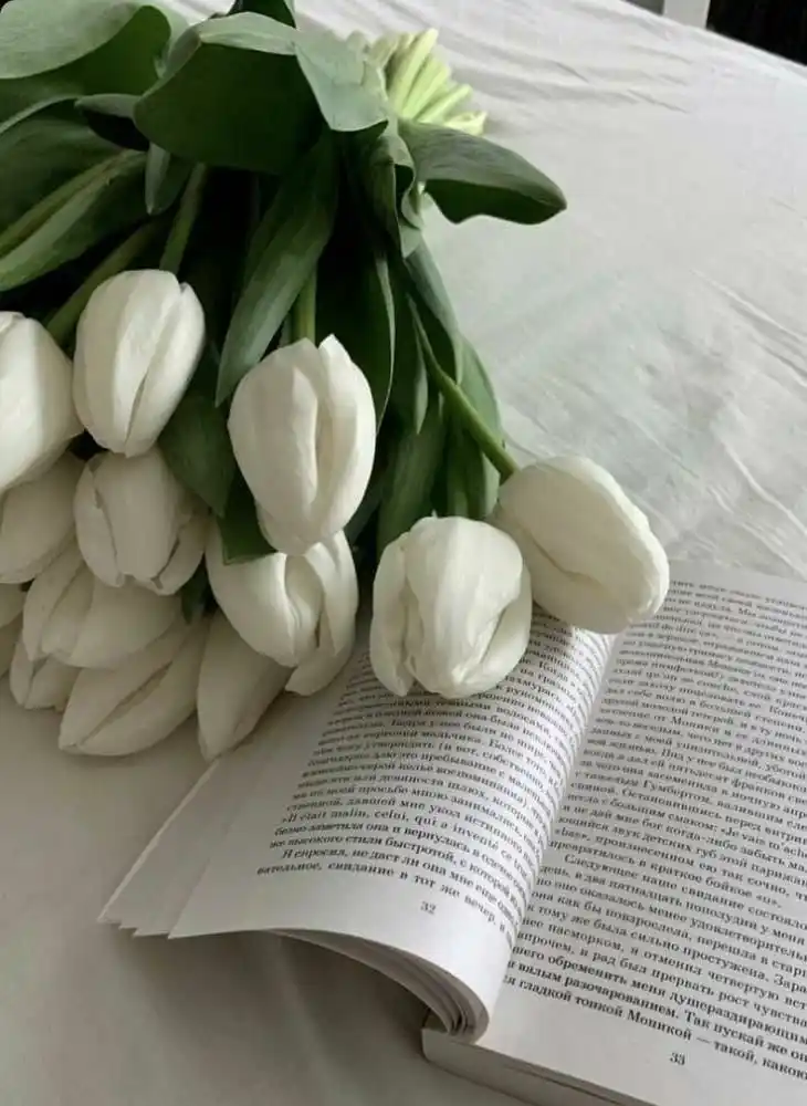 Image from 🏆Mensagens De Fé Ofc: *.¸🌷🍃.*´ ¸.•´ ¸🌷🍃.•*¨) ¸.🌷🍃•*¨) (¸.•´ (¸.•´ .•´ ¸¸.•🌷🍃¨¯•. ...