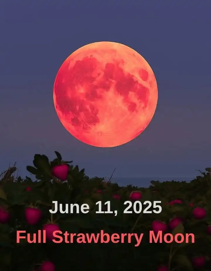 Image from Positiva Vibração: A Lua Cheia em Sagitário em 11 de junho traz uma energia poderosa que ...