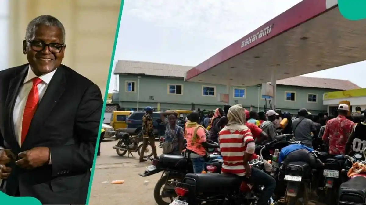 Image from Legit.ng Naija News: Dangote to Build CNG Stations to Power 4,000 Trucks For Nationwide Fue...