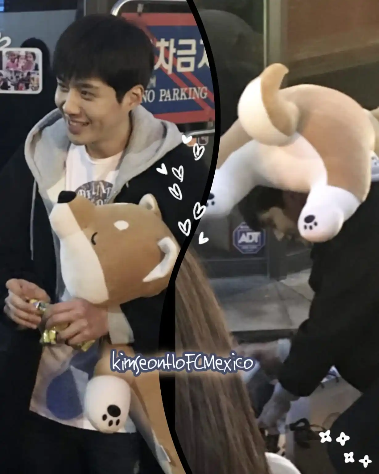 Image from Kim Seon-ho 🇰🇷 김선호 [Español]: El animal favorito de nuestro Seonho son los perritos, en especial los...